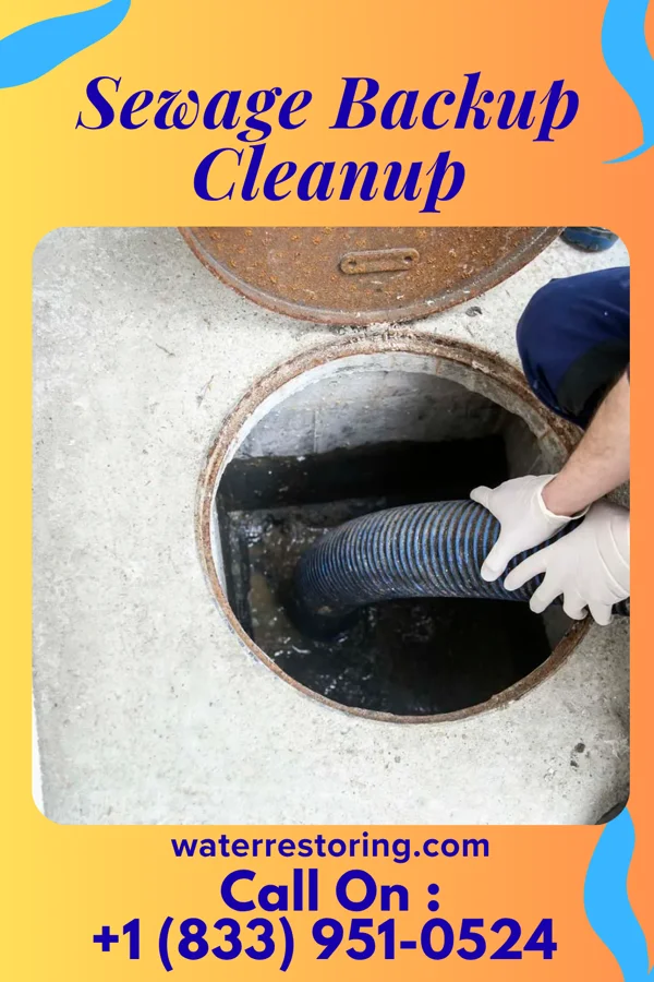 Sewage Backup Cleanup in Middletown, CT