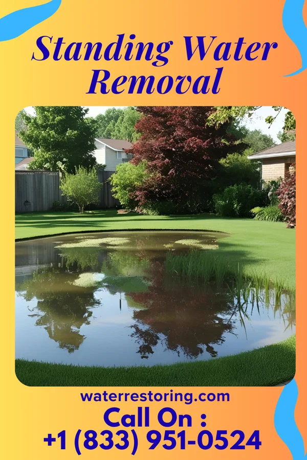 Standing Water Removal in Middletown, CT